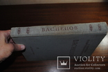 Альбом Васнецов. изд.1962 года. Искусство., фото №4