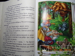 Украинские сказки., фото №4