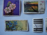 8 марок Польщі., фото №3