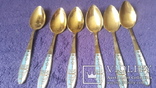 6 серебряных позолоченных  ложек в эмали проба 875, фото №2