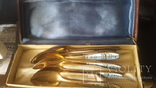 6 серебряных позолоченных  ложек в эмали проба 875, фото №7