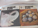 Годовой комплект журнала Знание сила за 1977 год № 1, фото №9