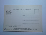 Поштова листівка. Карпати. Колгоспна отара на полонині. 1954 р., фото №3