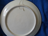 Настенная тарелка 1, фото №7