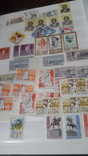 Большой кляссер на 60 стр с негашеными марками СССР 1961-65гг, фото №6