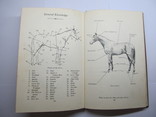 Книга по верховой езде, 1957г., Англия, фото №10