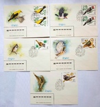 Пять конвертов с марками из серии "Птицы защитники леса", фото №2