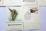 Пять конвертов с марками из серии "Птицы защитники леса", фото №4