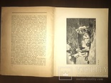 1922 Гравюра Павлова с множеством иллюстраций, фото №5