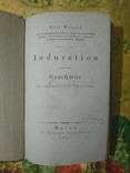 Об индурации и язвах в индурированных частях.  1815 год, фото №4