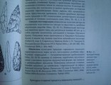 Залізняк Стародавня історія України 2019 р (перевидання), фото №7