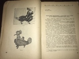 1947 Українське мистецтво Фольклор Етнографія, фото №7