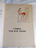 Грибы Б.Андрест 1968г., фото №10