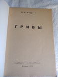 Грибы Б.Андрест 1968г., фото №11