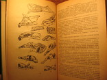 Товароведение мясо-рыбных и гастрономических товаров 1976г, фото №7