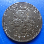 10 центавос 1891 Аргентина     (,8.3.7)~, фото №3