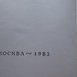 Библиотека приключений (рамка) Вальтер Скотт "Квентин Дорвард" 1983р., фото №4