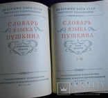 Словарь языка А.С.Пушкина полное собрание из 4-х томов + приложение к словарю, фото №6