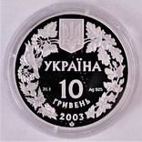 Зубр, 10 грн 2003 р, срібло. Перша монета вагою 1 унція і тиражем 2.000 шт, фото №3