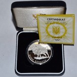 Зубр, 10 грн 2003 р, срібло. Перша монета вагою 1 унція і тиражем 2.000 шт, фото №4