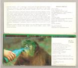 1983 Киевский зоопарк Мистецтво набор 11 штук, фото №4