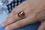 Серебряное кольцо с янтарем и золотом, фото №9