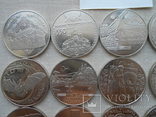 Украина Годовой набор 2012 г. 19 монет медноникель, фото №3