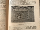 1935 Пиво Производство Союза, фото №2