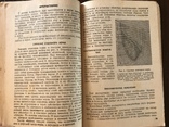 1935 Пиво Производство Союза, фото №8