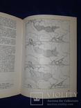 1982 Киевская Русь и русские княжества в 12-13 вв., фото №4