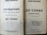 1929 Історична повість До слави А. Чайковський, фото №3