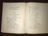 1883 Українські пісні і Думи Киев Прижизненный Станицкий, фото №7