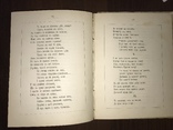 1883 Українські пісні і Думи Киев Прижизненный Станицкий, фото №8