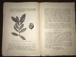 1936 Бакалейные Товары Реклама Этикетки, фото №8