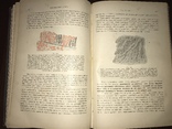 1905 Общая патологическая Анатомия, фото №6