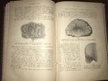 1905 Общая патологическая Анатомия, фото №7