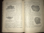 1905 Общая патологическая Анатомия, фото №10