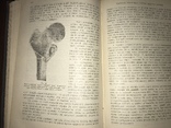 1905 Общая патологическая Анатомия, фото №12