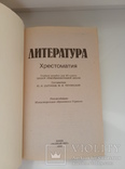 Литература 10 класс - хрестоматия -, фото №7