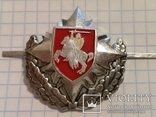 Belarus 1993-1995 White Russia capbadge Byelorussia cap badge for Army and AF Air Force, фото №3