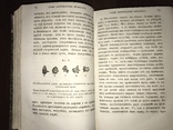 1867 Элементарная физиология Гексли, фото №8