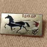 Знак ВДНХ СССР Выставка достижений народного хозяйства. Коневодство. Скачки, спорт. ., фото №2