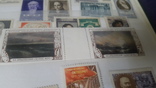 Большой набор негашеных марок СССР 1930-50гг, фото №6