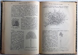 1911  Основы виноделия. Лялин Л. М., фото №10