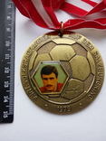 Швейцарская футбольная медаль 1979 года, фото №3