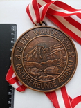Австрийская спортивня  медаль 1980 года, фото №3