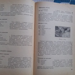 Петерсон "Поваренная книга" 1960р. (перевод с латышского), фото №12