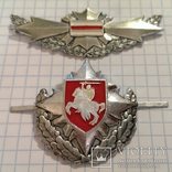 Ранняя Беларусь Belarus РБ 1993-1995 РПК = Рота Почетного Караула кокарда 2 шт кукарда, фото №3