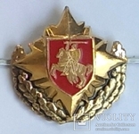 Belarus Беларусь 1993-1995 бкб погоня Генерал в армии и ВВС, жёлтая кокарда на фуражка, фото №2
