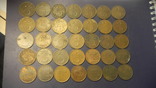 5 центів Нідерланди (порічниця) 35шт, всі різні, фото №2